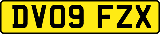 DV09FZX