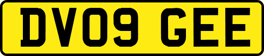 DV09GEE
