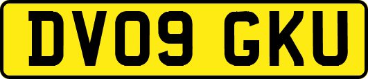 DV09GKU