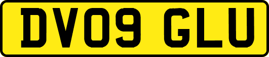 DV09GLU