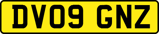 DV09GNZ
