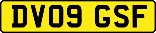 DV09GSF