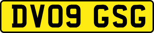 DV09GSG