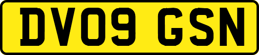 DV09GSN