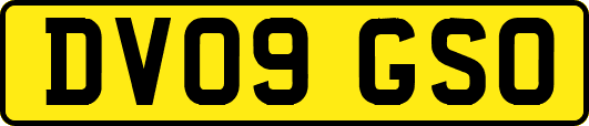 DV09GSO