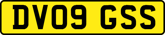 DV09GSS