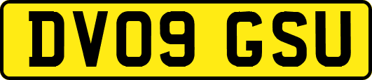 DV09GSU