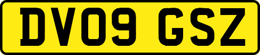 DV09GSZ