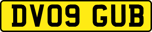 DV09GUB
