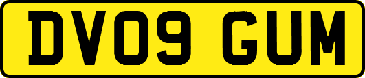 DV09GUM