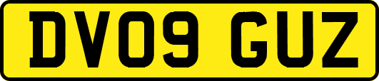 DV09GUZ