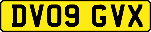 DV09GVX