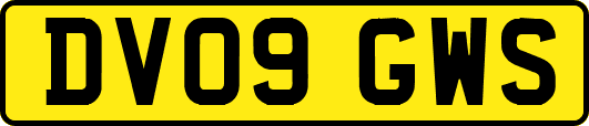 DV09GWS
