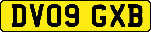 DV09GXB