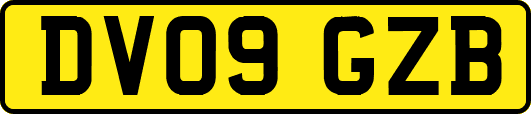 DV09GZB
