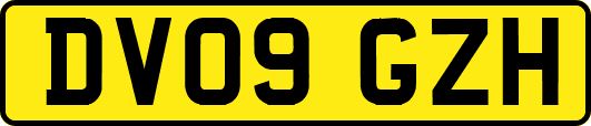 DV09GZH