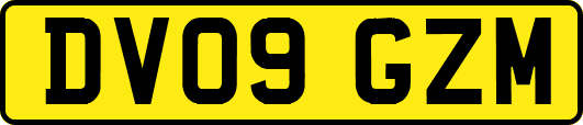 DV09GZM