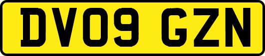 DV09GZN