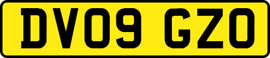 DV09GZO