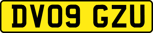 DV09GZU