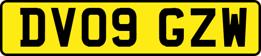 DV09GZW