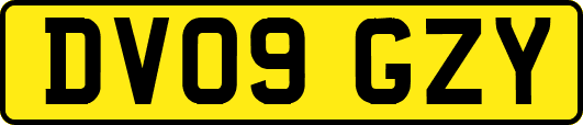 DV09GZY
