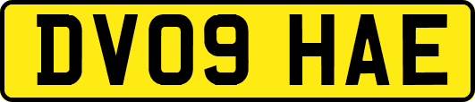 DV09HAE