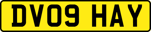 DV09HAY