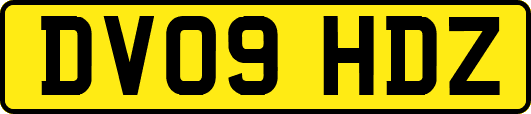 DV09HDZ