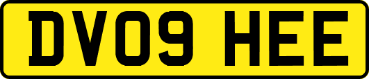 DV09HEE