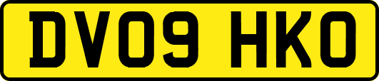 DV09HKO