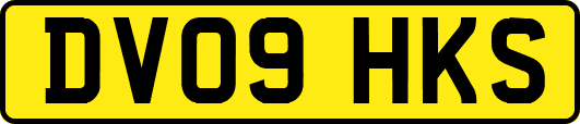 DV09HKS