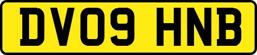DV09HNB