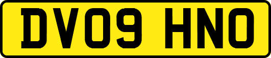 DV09HNO