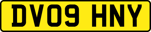 DV09HNY