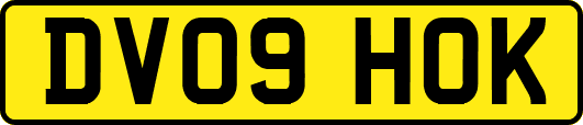 DV09HOK