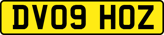 DV09HOZ