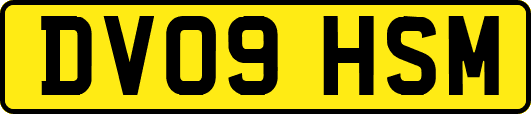 DV09HSM