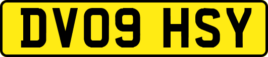 DV09HSY