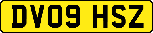 DV09HSZ