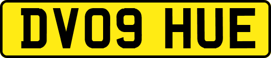 DV09HUE