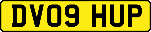 DV09HUP