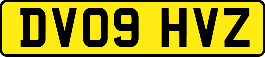 DV09HVZ