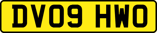 DV09HWO