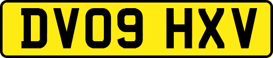DV09HXV