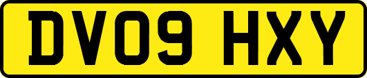 DV09HXY