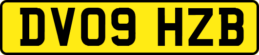 DV09HZB