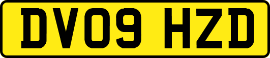 DV09HZD