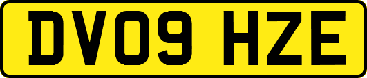 DV09HZE