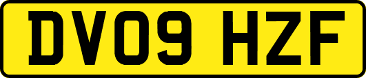 DV09HZF